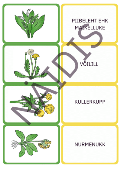 Kevadlillede memoriin