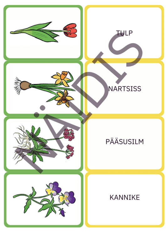 Kevadlillede memoriin - Image 2
