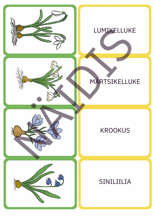 Kevadlillede memoriin - Image 3