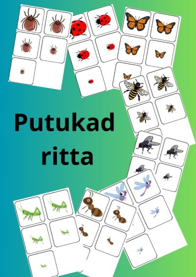 Putukad ritta