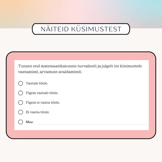 Tagasiside küsimustik matemaatika õppimise kohta - Image 3