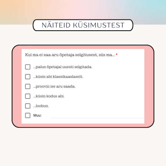 Tagasiside küsimustik matemaatika õppimise kohta - Image 4