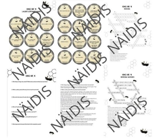 "King nr. 41", materjalid abiks raamatu käsitlemisel eesti keele ja kirjanduse tunnis