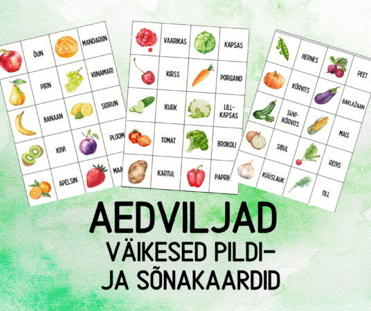"AEDVILJAD - väikesed sõna- ja pildikaardid (30 tk)"