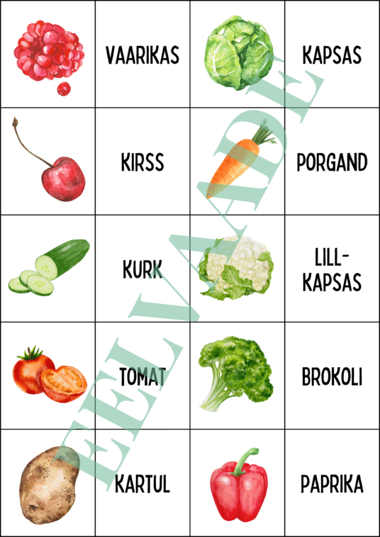 "AEDVILJAD - väikesed sõna- ja pildikaardid (30 tk)" - Image 3