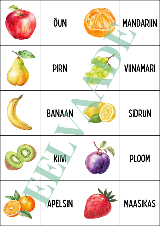 "AEDVILJAD - väikesed sõna- ja pildikaardid (30 tk)" - Image 2