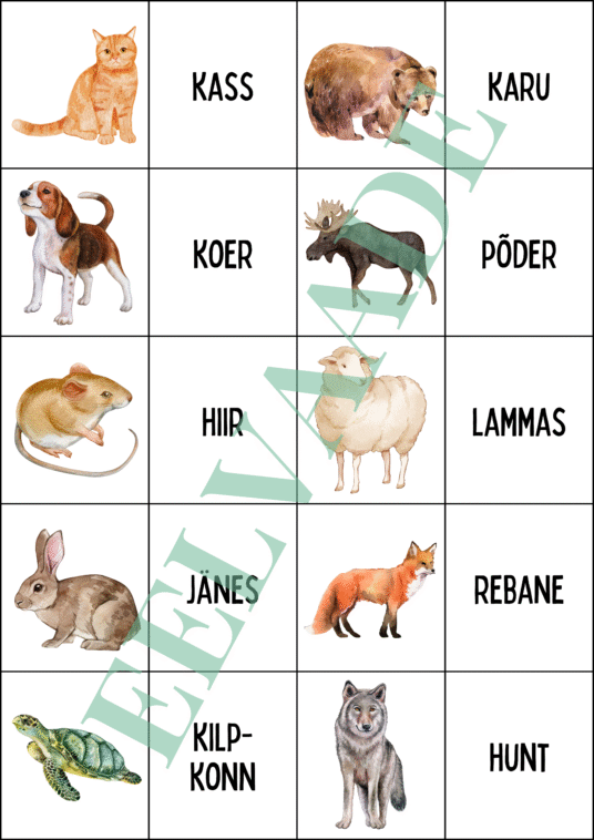 "Loomad - väikesed pildi- ja sõnakaardid (30 tk)" - Image 2