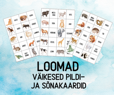 "Loomad - väikesed pildi- ja sõnakaardid (30 tk)"