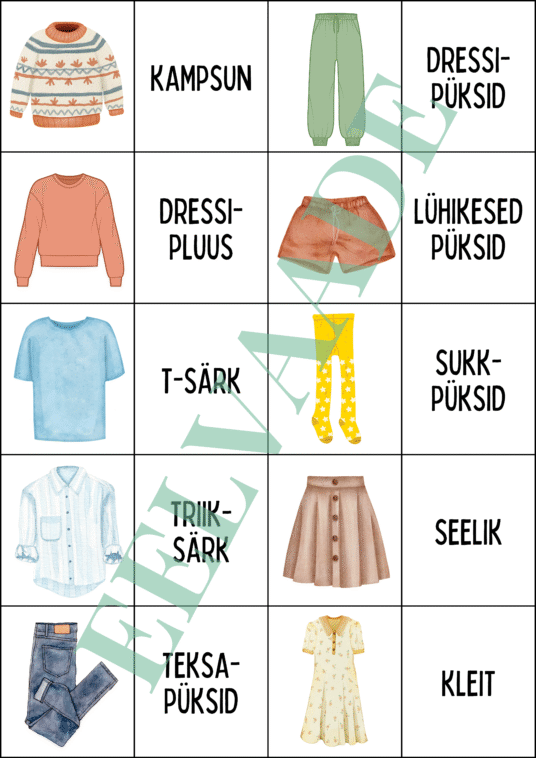 "Riided - väikesed pildi- ja sõnakaardid (30 tk)" - Image 2