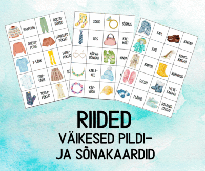 "Riided - väikesed pildi- ja sõnakaardid (30 tk)"
