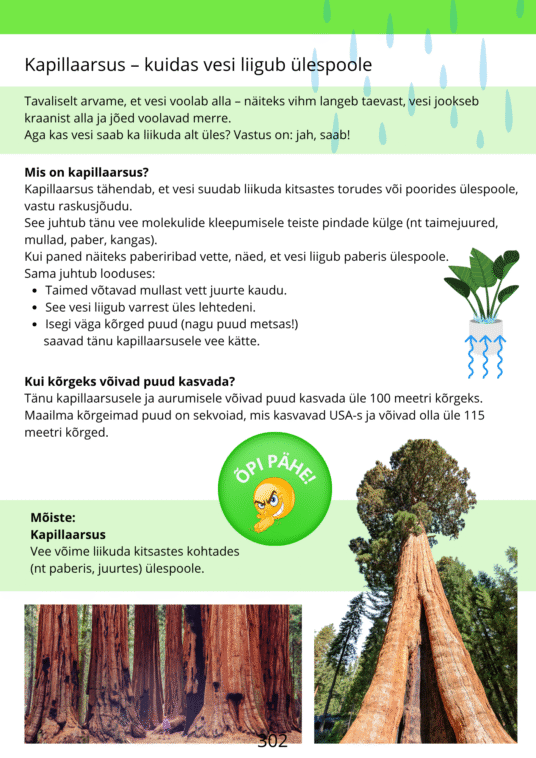 Diferentseeritud tööraamat 5.klassile XXIVosa - Image 3