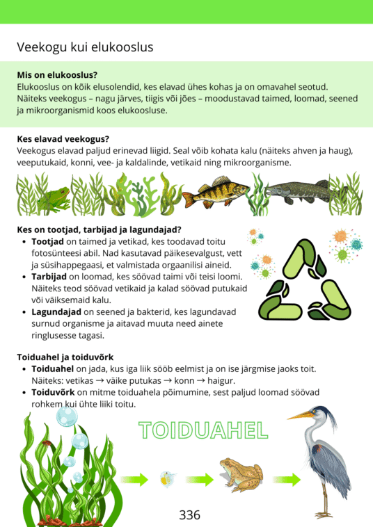 Diferentseeritud tööraamat 5.klassile XXVII osa - Image 4