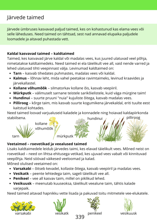 Diferentseeritud tööraamat 5.klassile XXVIII osa - Image 3