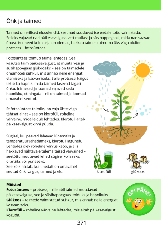 Diferentseeritud tööraamat 5.klassile XXX osa - Image 3