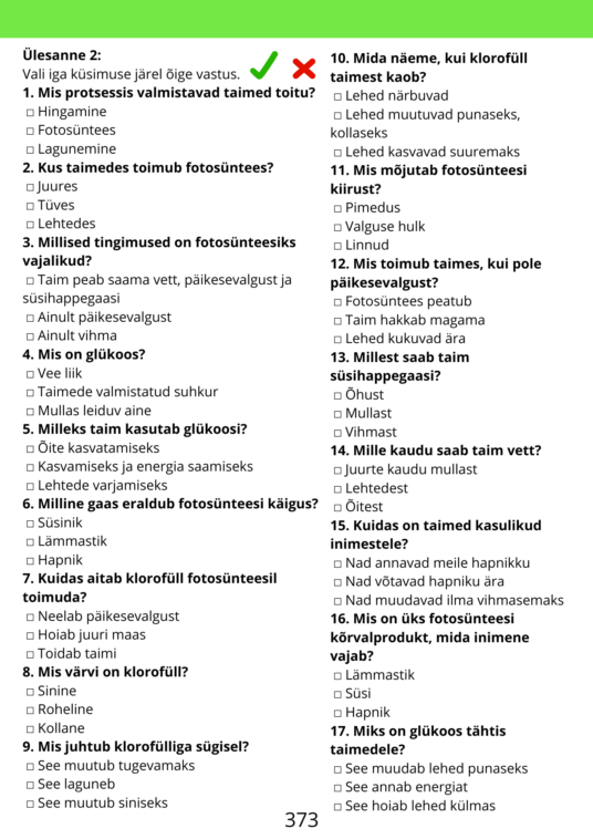 Diferentseeritud tööraamat 5.klassile XXX osa - Image 4