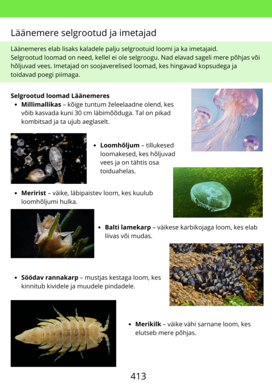 Diferentseeritud tööraamat 5.klassile XXXIV osa - Image 3