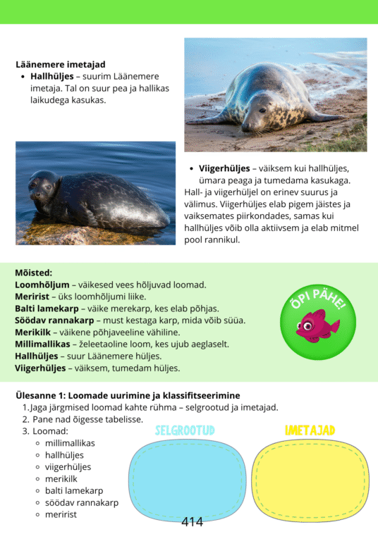 Diferentseeritud tööraamat 5.klassile XXXIV osa - Image 4