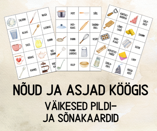 "Nõud ja muud asjad köögis - väikesed pildi- ja sõnakaardid (30 tk)