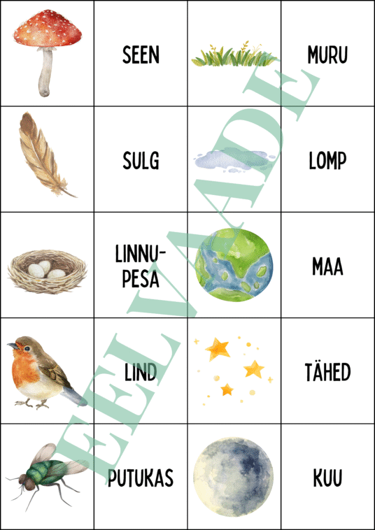 "Loodus - väikesed pildi- ja sõnakaardid (30 tk)" - Image 4