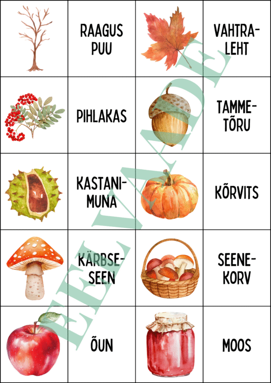 "Sügis - väikesed pildi- ja sõnakaardid (30 tk)" - Image 4