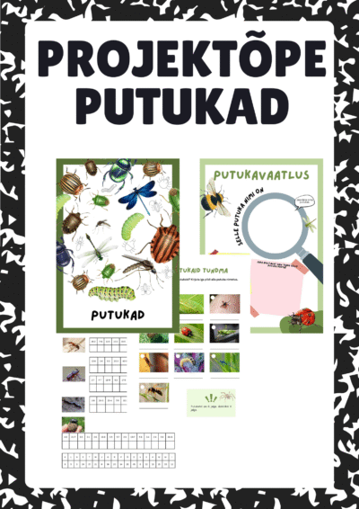 Projektõpe "Putukad"