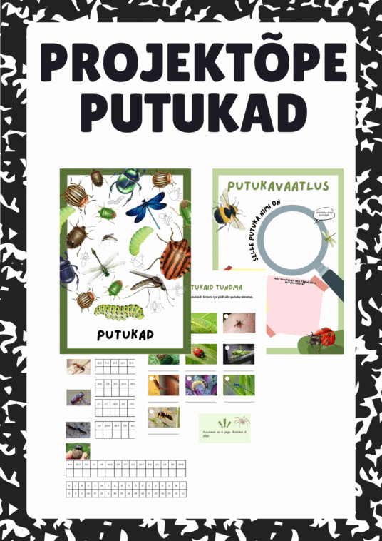 Projektõpe "Putukad"