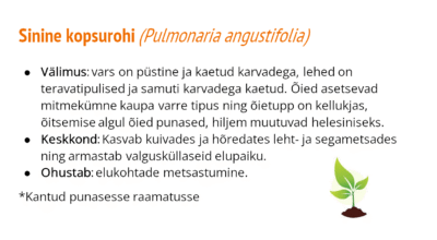 Eestis kaitstavad taimeliigid slaidid + ülesanne