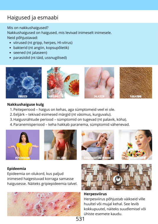 Diferentseeritud tööraamat 5.klassile XLVII osa - Image 3
