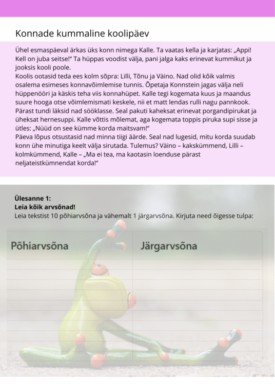 Diferentseeritud tööraamat 6.klassile V osa - Image 3