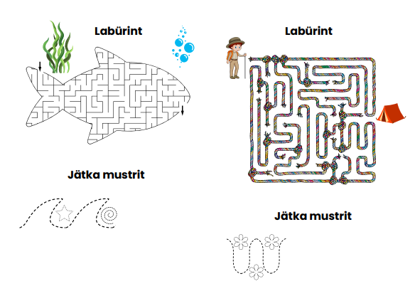 Lisaülesanded, sõnasegadikud - Image 3