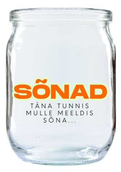Tagasisidestamine ja sõnavaramäng_korja sõnad ja mündid purki.