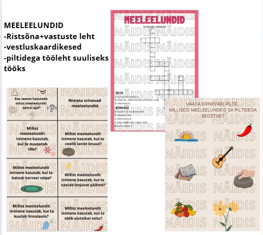 töölehed ,,MEELEELUNDID'' (1 suuline tööleht+ 8 vestluskaarti+ 1 ristsõna koos vastustelehega)