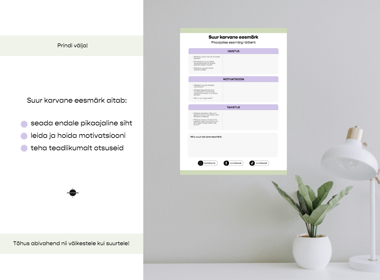 Suur Karvane Eesmärk – eesmärgistamise tööleht - Image 2