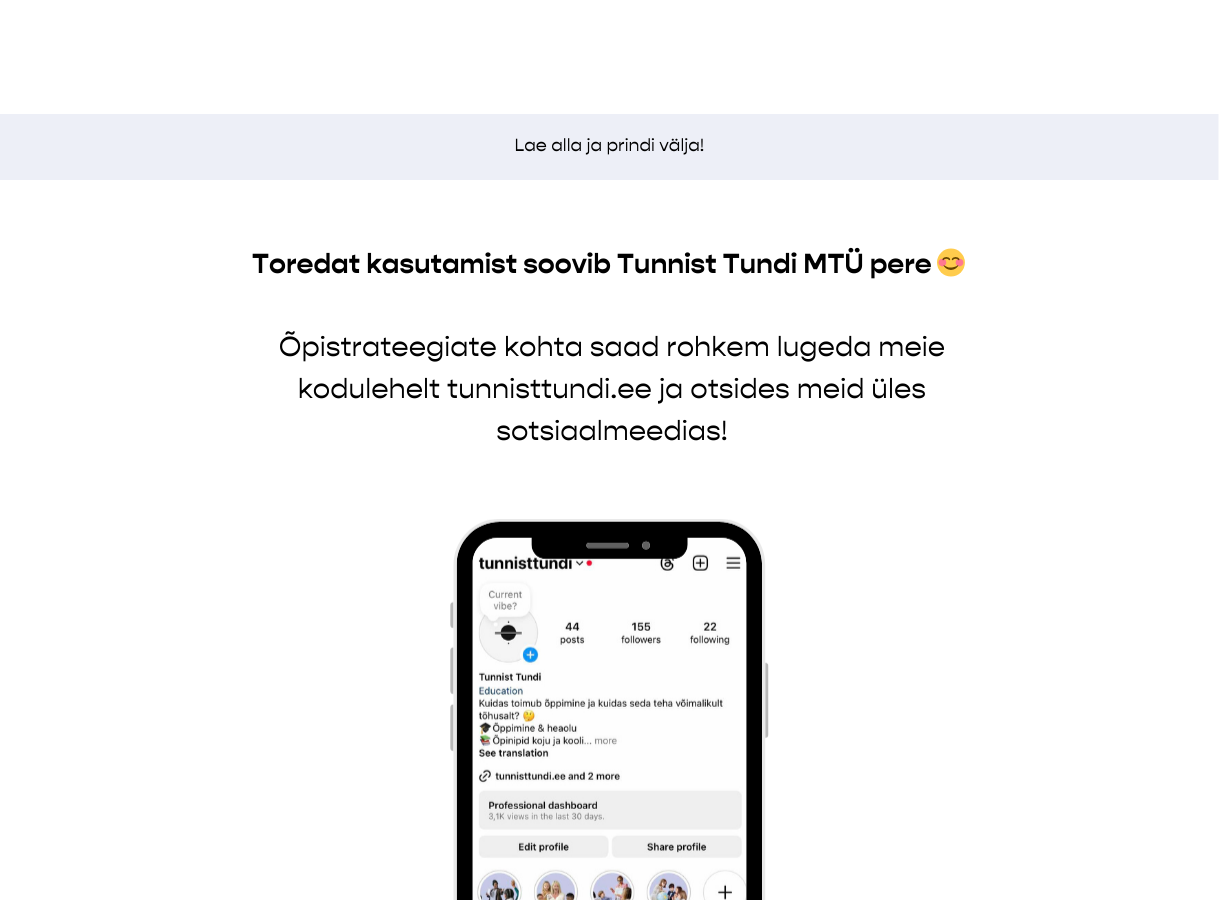 Mõttevool – mõttekaardi põhi - Image 6
