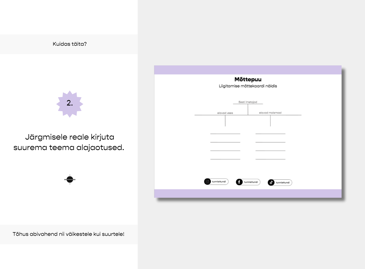 Mõttepuu – mõttekaardi põhi - Image 4