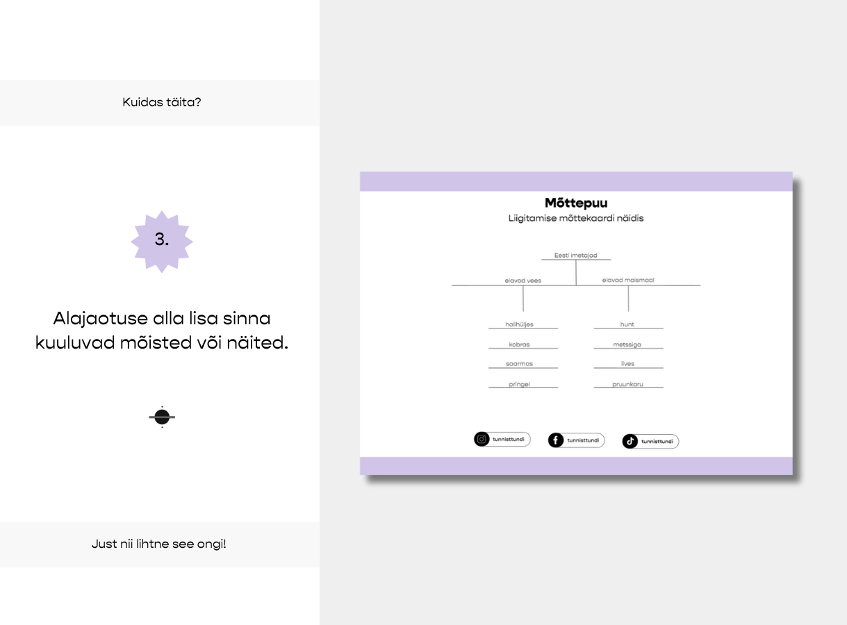 Mõttepuu – mõttekaardi põhi - Image 5