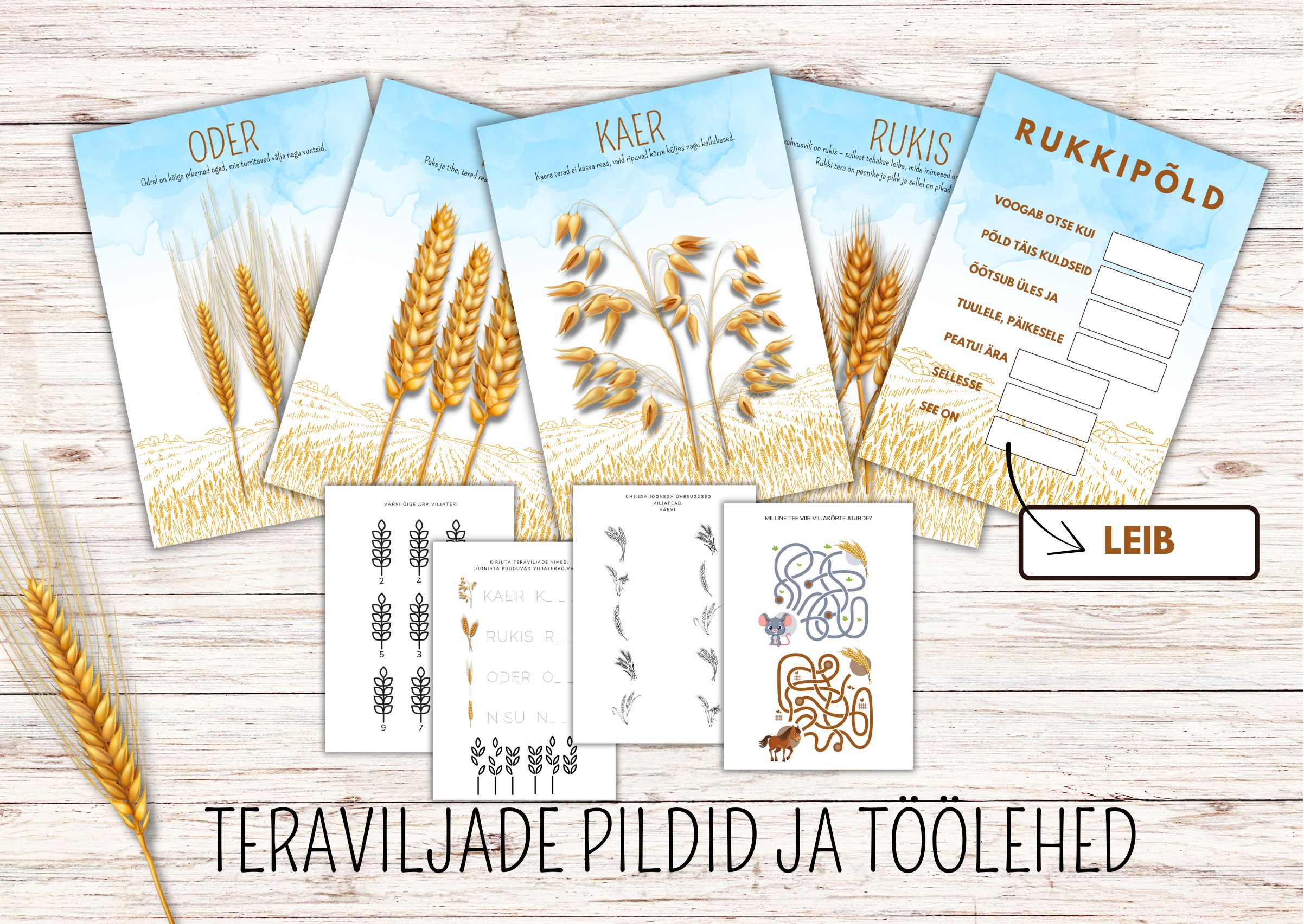 TERAVILJAD. Pildid ja töölehed.