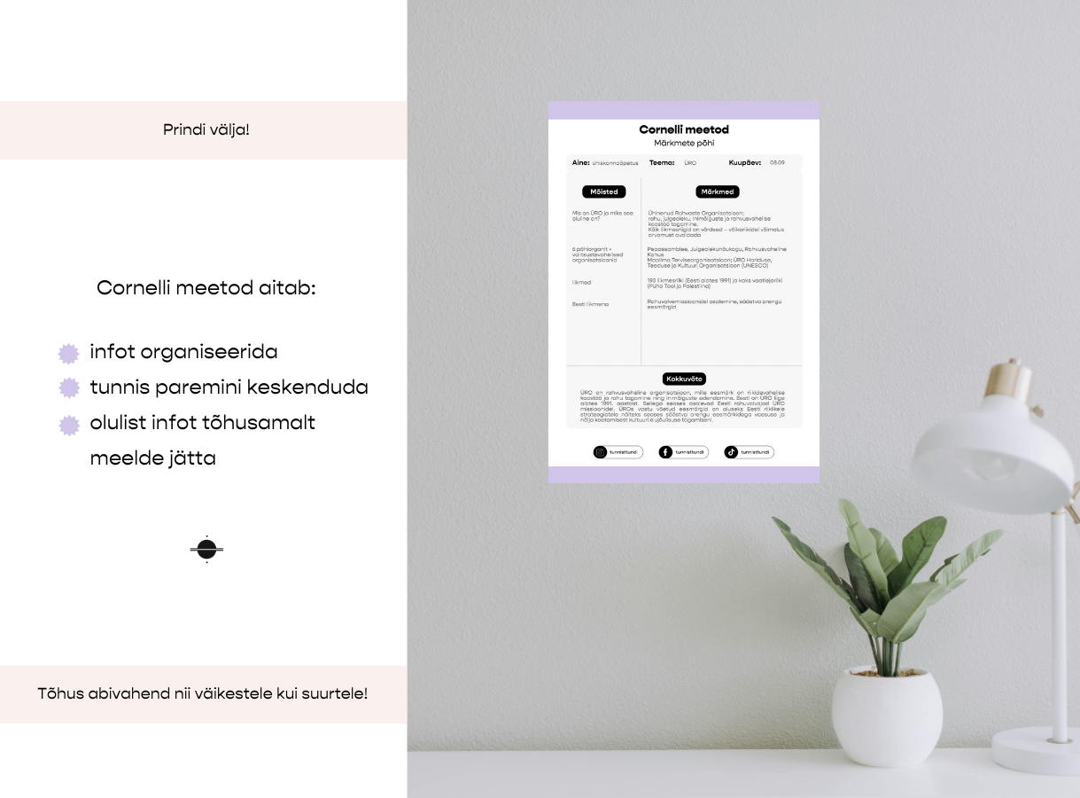 Cornelli meetod – märkmete tegemise põhi - Image 2