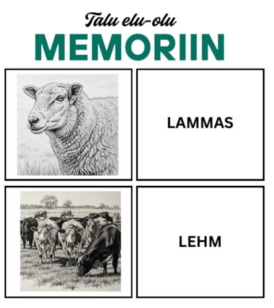 Memoriin_rääkivad seinad_Talu loomad ja tegevused_23 sõna ja pilti