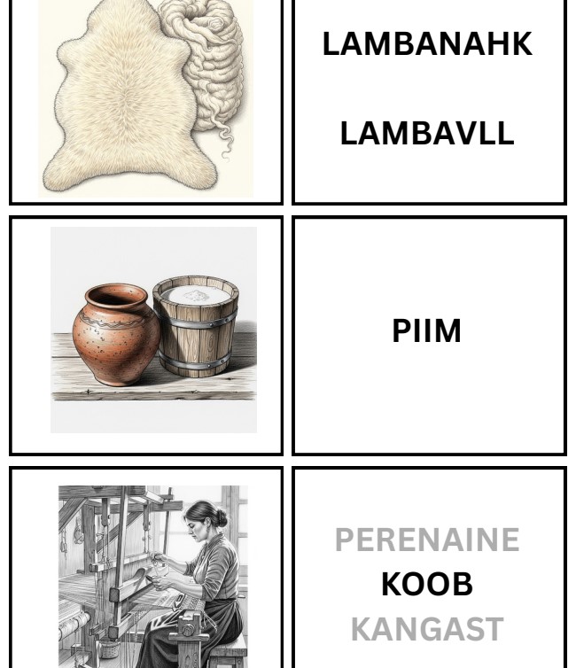 Memoriin_rääkivad seinad_Talu loomad ja tegevused_23 sõna ja pilti - Image 2