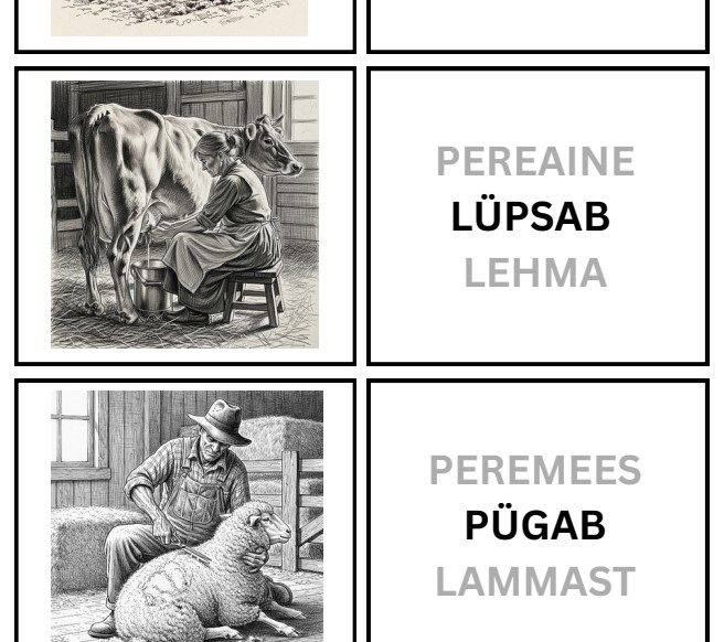 Memoriin_rääkivad seinad_Talu loomad ja tegevused_23 sõna ja pilti - Image 3