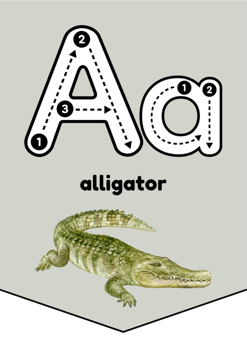 Alphabet-ingliskeelne tähestiku bänner klassi seinale - Image 2