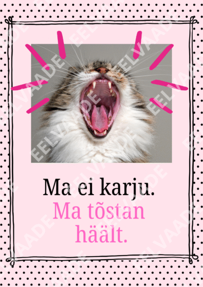 10 naljakat kassipostrit õpetajatele