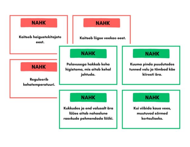 Naha ülesannete kaardid