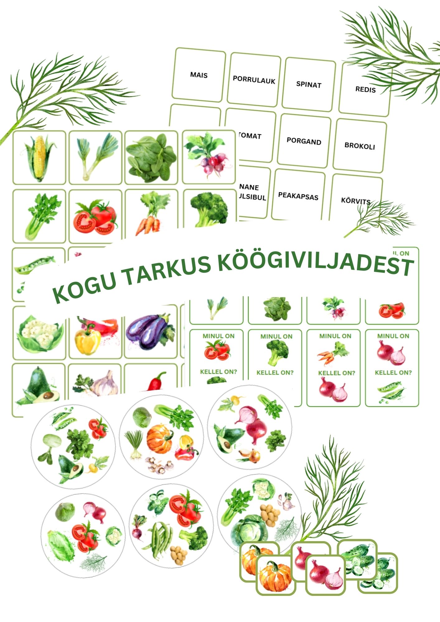 Kogu tarkus KÖÖGIVILJADEST