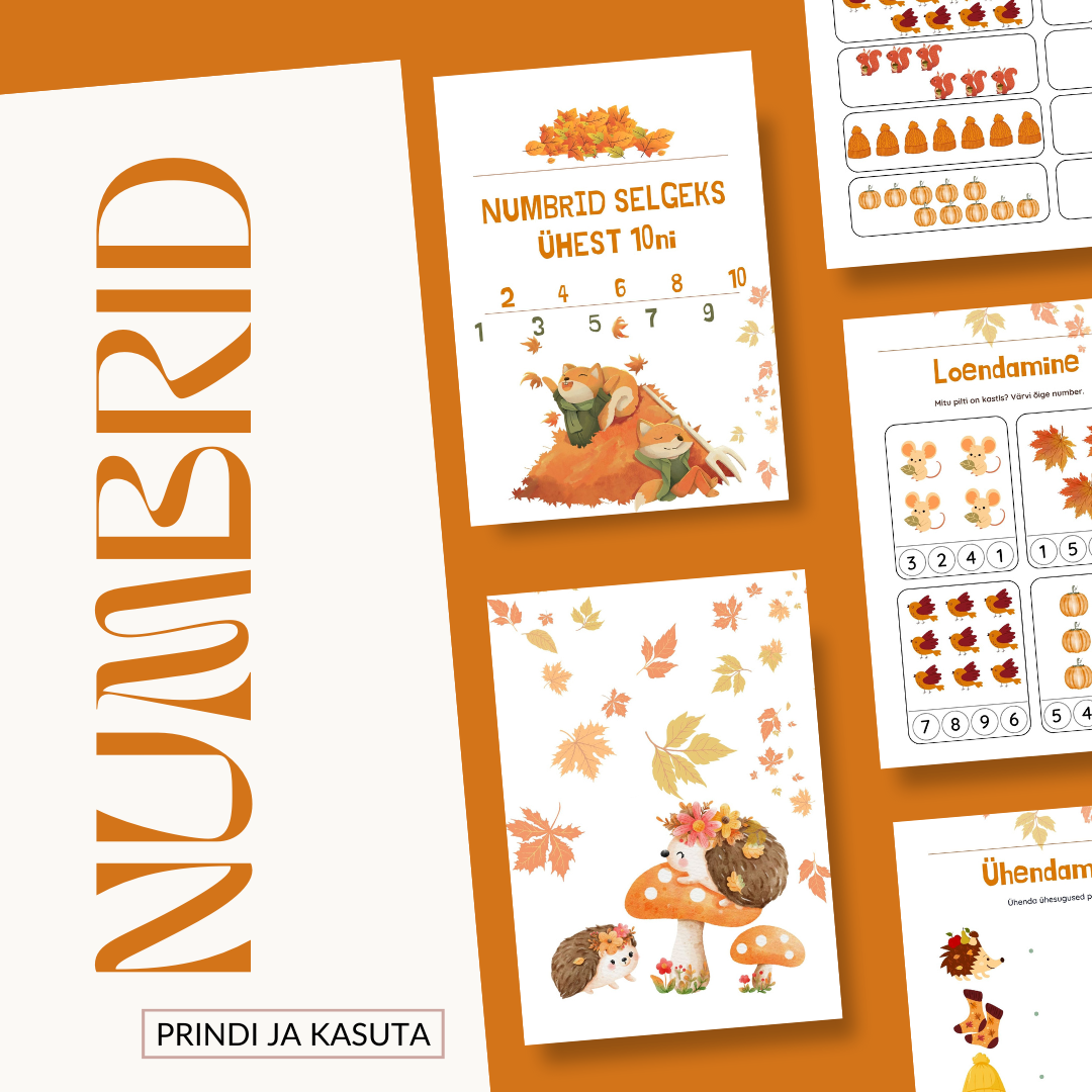 Numbrid selgeks ühest 10ni töölehtede komplekt