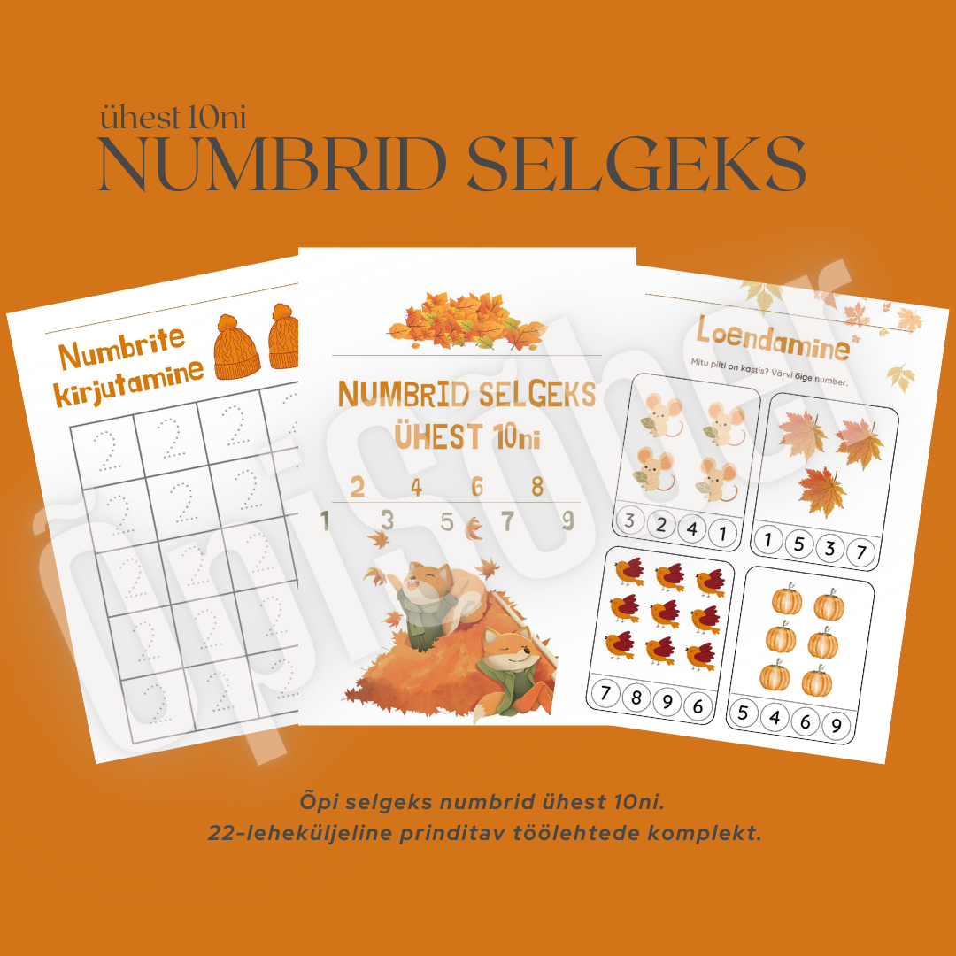 Numbrid selgeks ühest 10ni töölehtede komplekt
