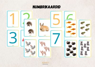 Numbrikaardid, 1-20, kahepoolsed