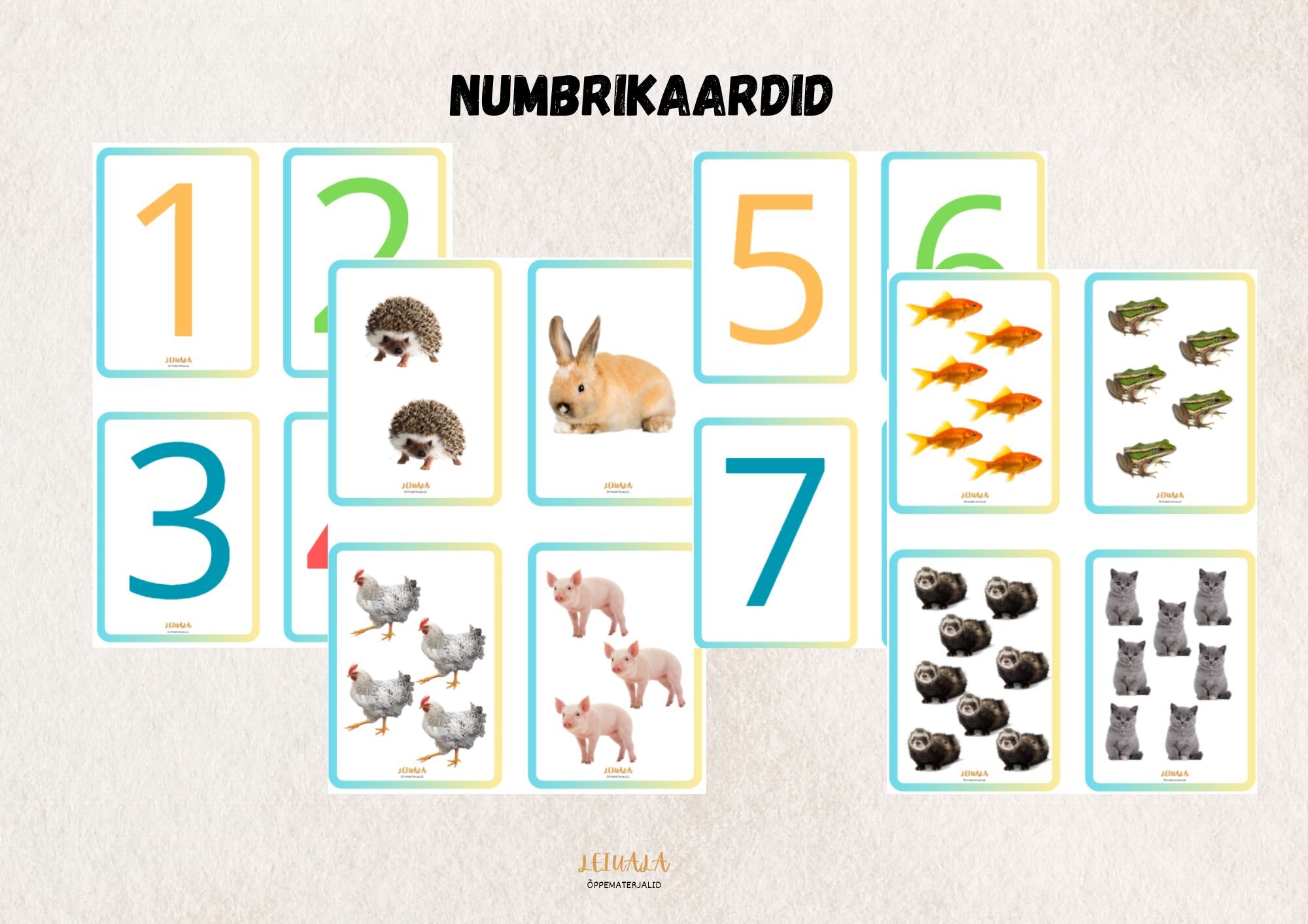 Numbrikaardid, 1-20, kahepoolsed