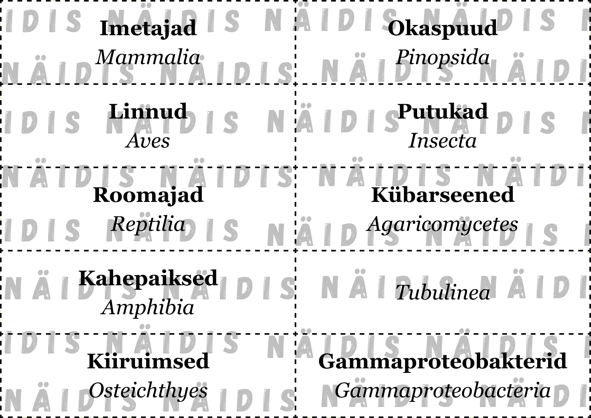 7. klassi bioloogia: Miks ja kuidas jaotatakse organisme? Mäng süstemaatika õppimiseks - Image 3